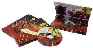 Mini CD in mini wallet mailer