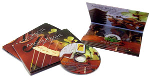 Mini DVD in custom printed mailer